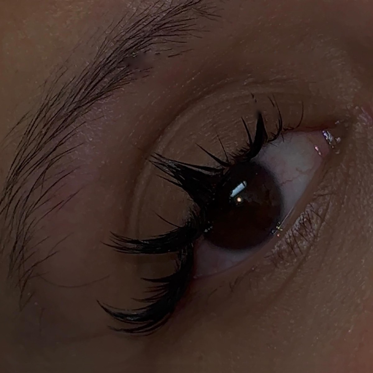 Wispy anime lash set close-up